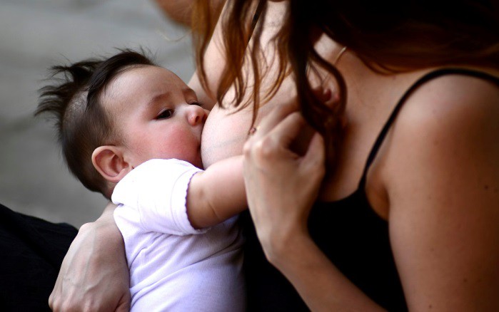 La leche materna ¿cuáles son sus componentes?