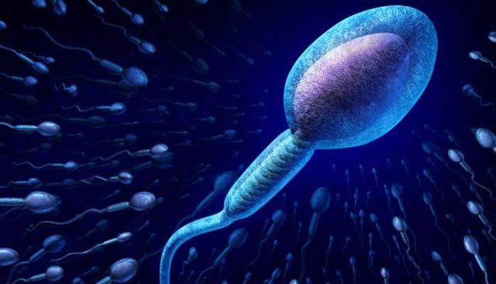 Crean una aplicación para el smartphone que mide la fertilidad masculina