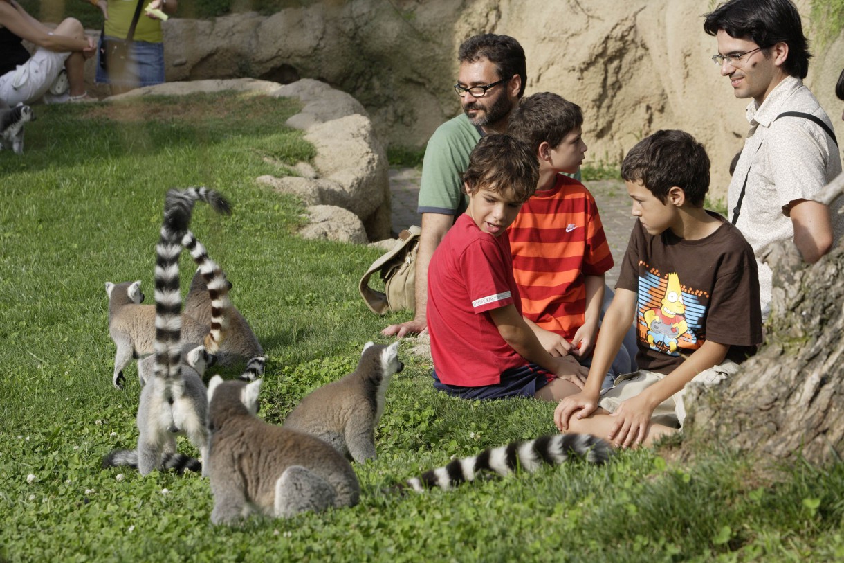 Actividades de ocio para toda la familia en Bioparc Valencia