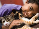 Niños y gatos: las razas más cariñosas