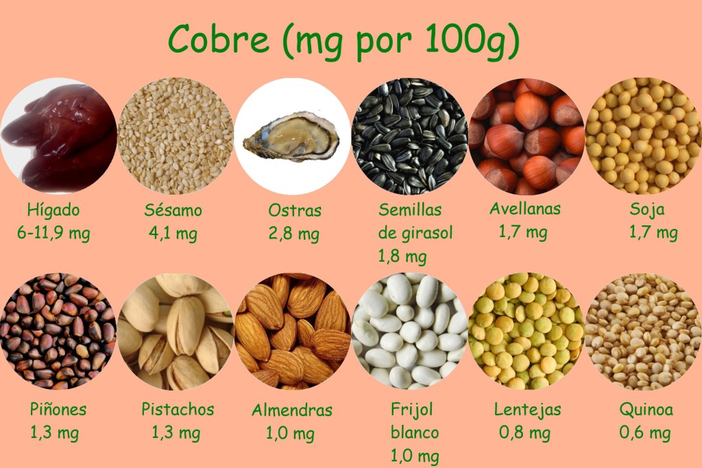 Alimentos Ricos En Cobre 5996