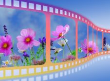 Cine Infantil