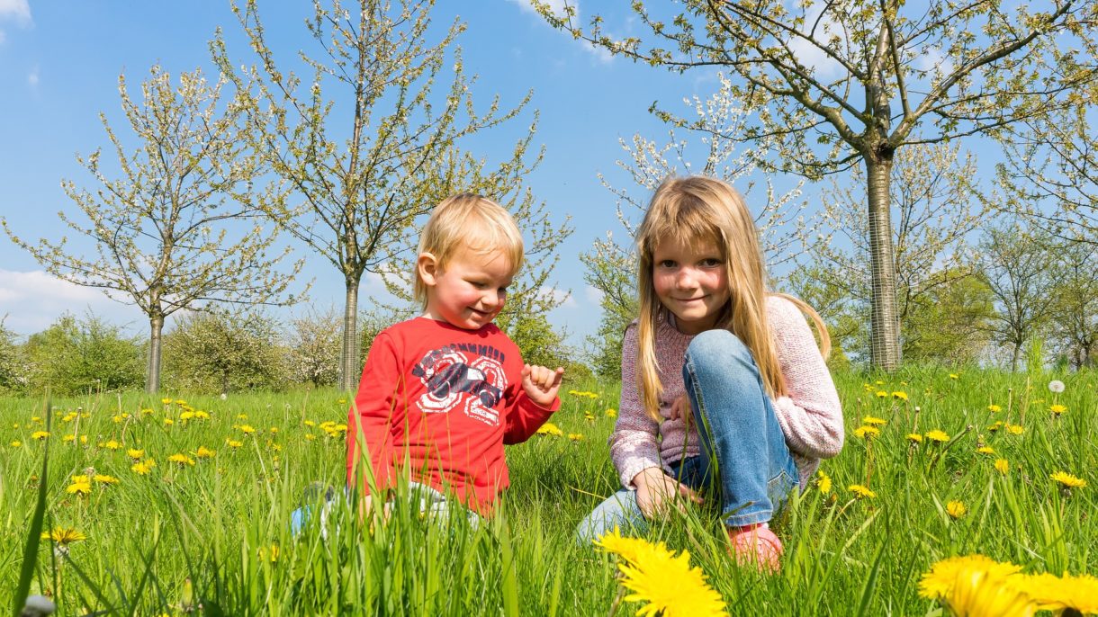 Cinco hábitos saludables para niños en verano