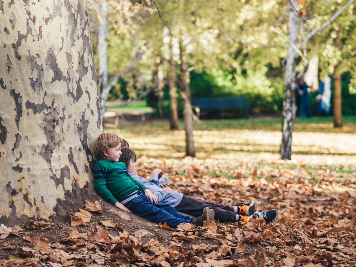 10 planes de ocio para hacer con niños durante el otoño