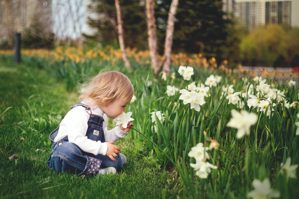 Cuidar El Jardin En Familia