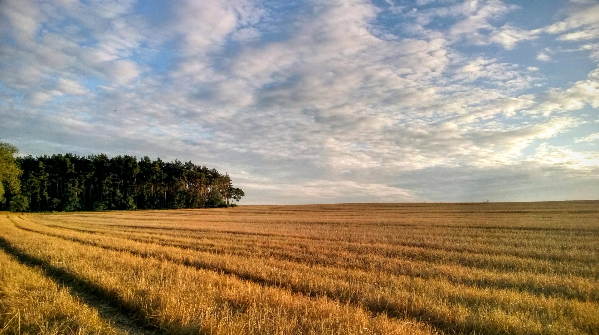 Estudio Sobre Conciliacion En Mundo Rural