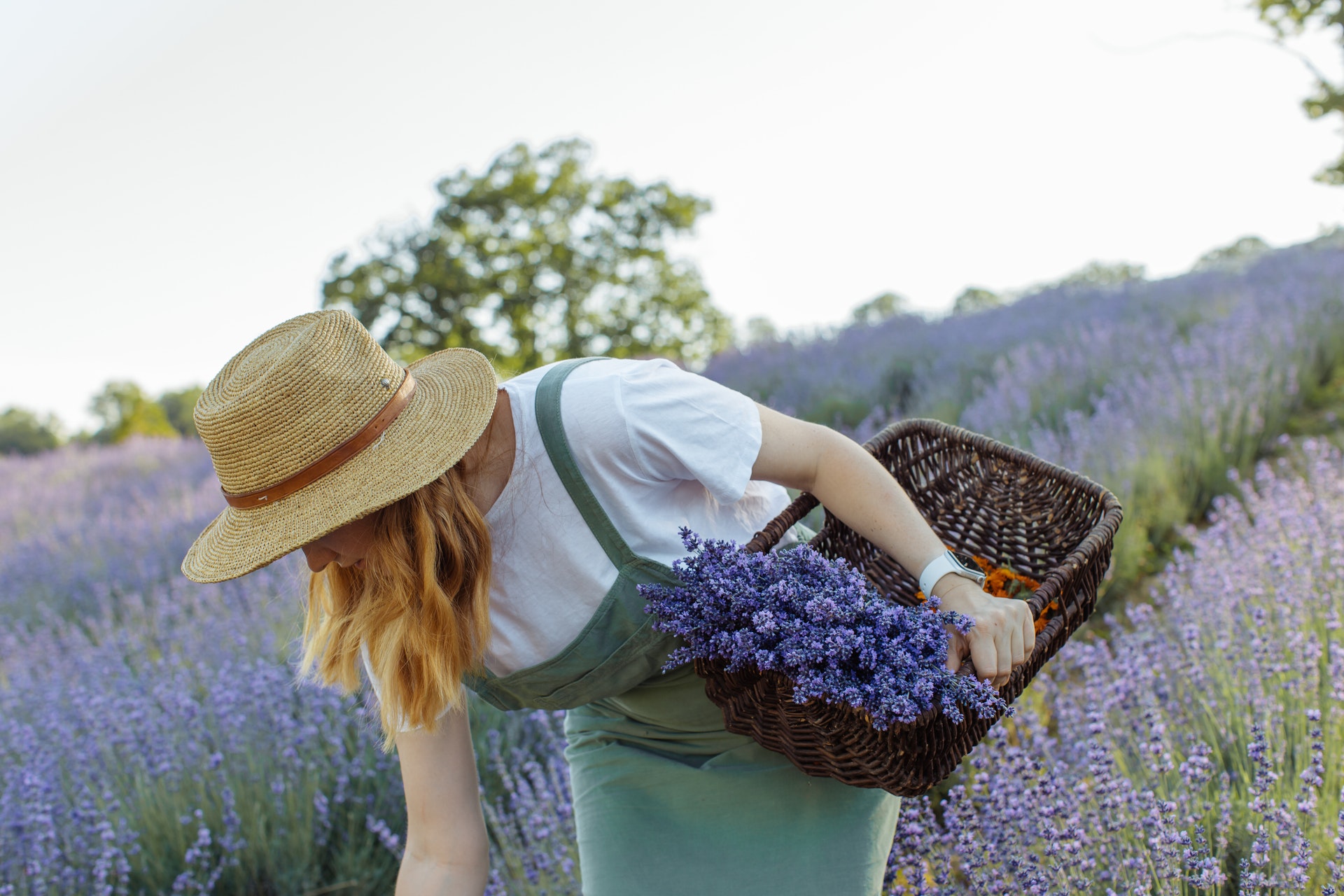 Cultivar Una Aficion Despues De Ser Madre