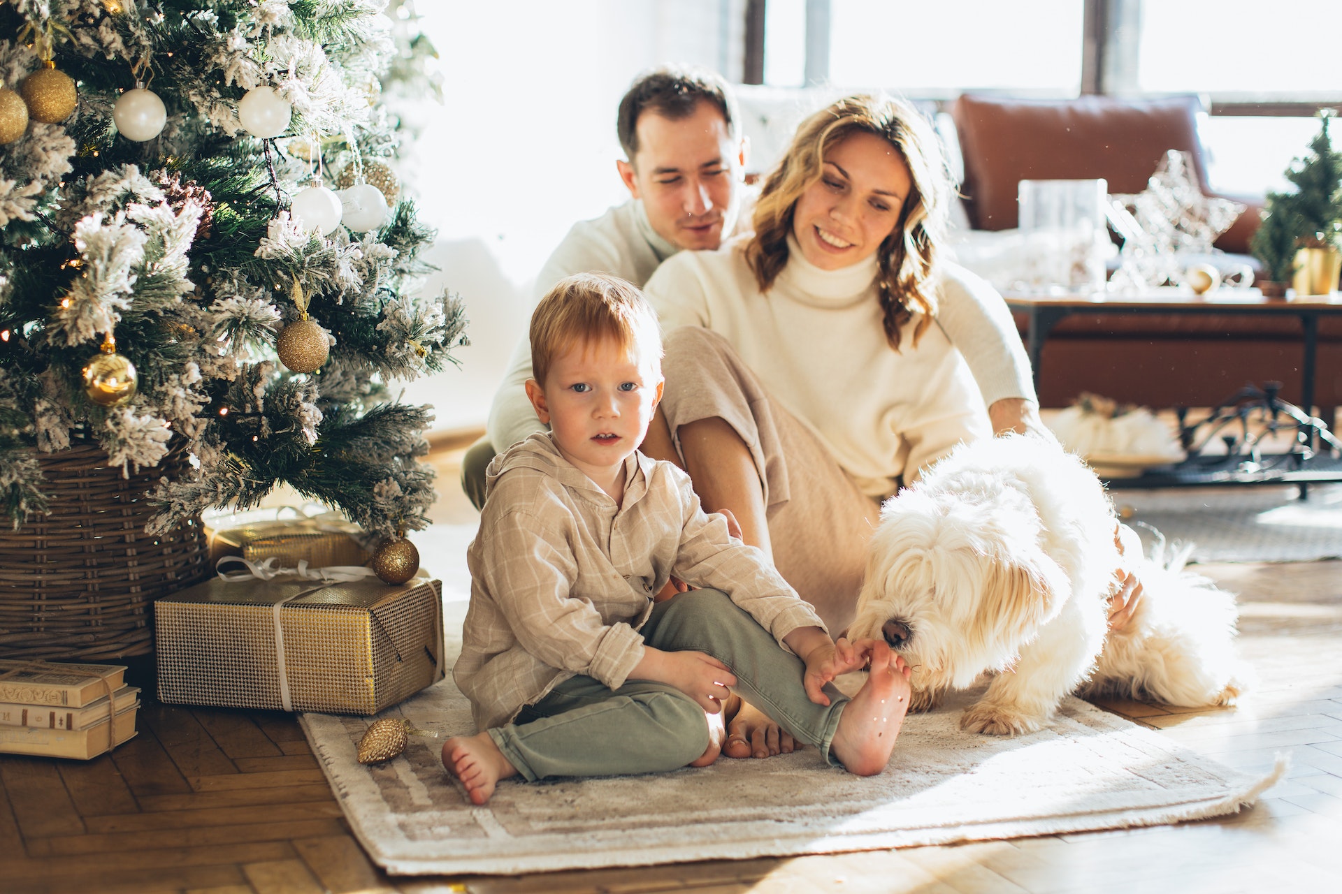 Caracteristicas De Las Familias Unidas Durante La Navidad