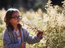 Lecciones que los niños aprenden en contacto con la naturaleza