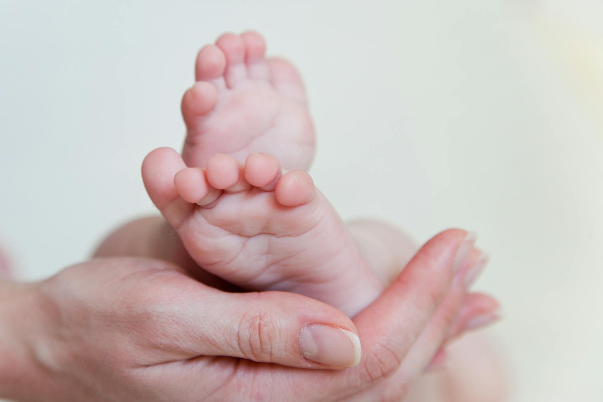 Reflexiones Sobre El Termino Madres Y Padres Toxicos