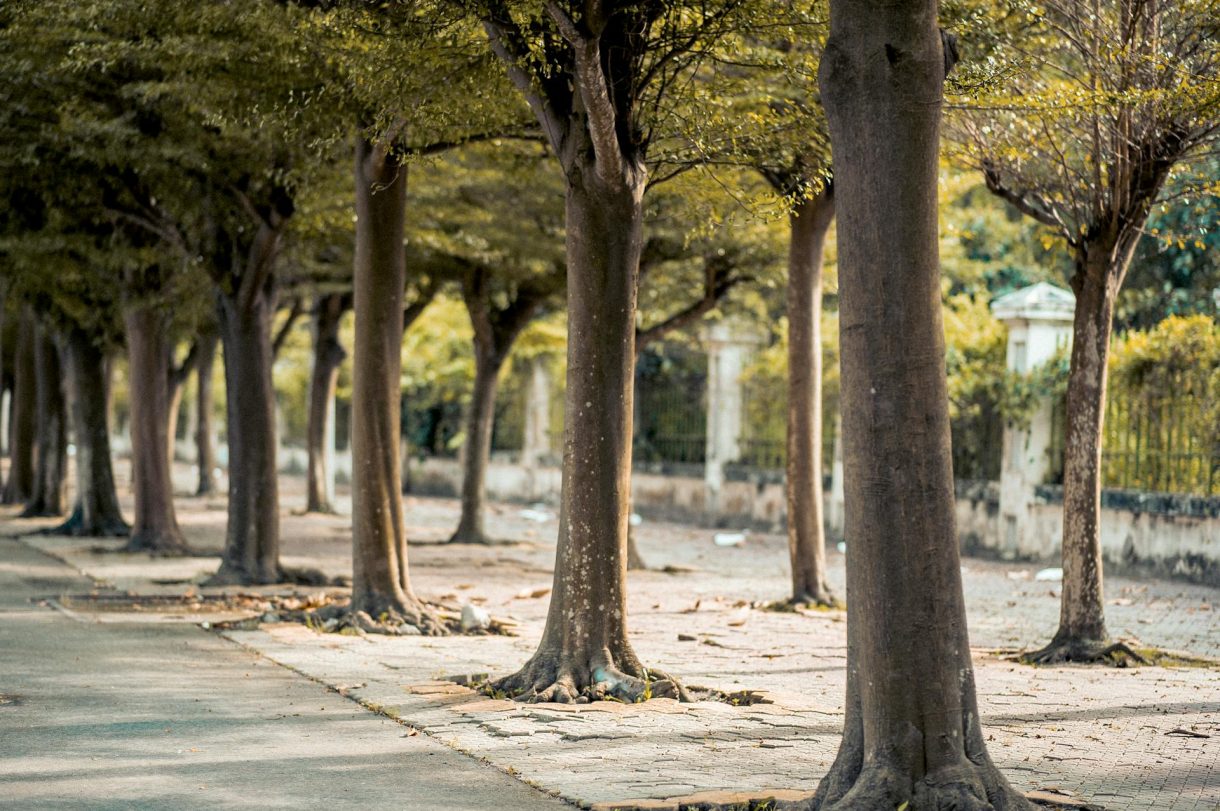 Cómo encontrar zonas tranquilas para pasear con bebés en la ciudad