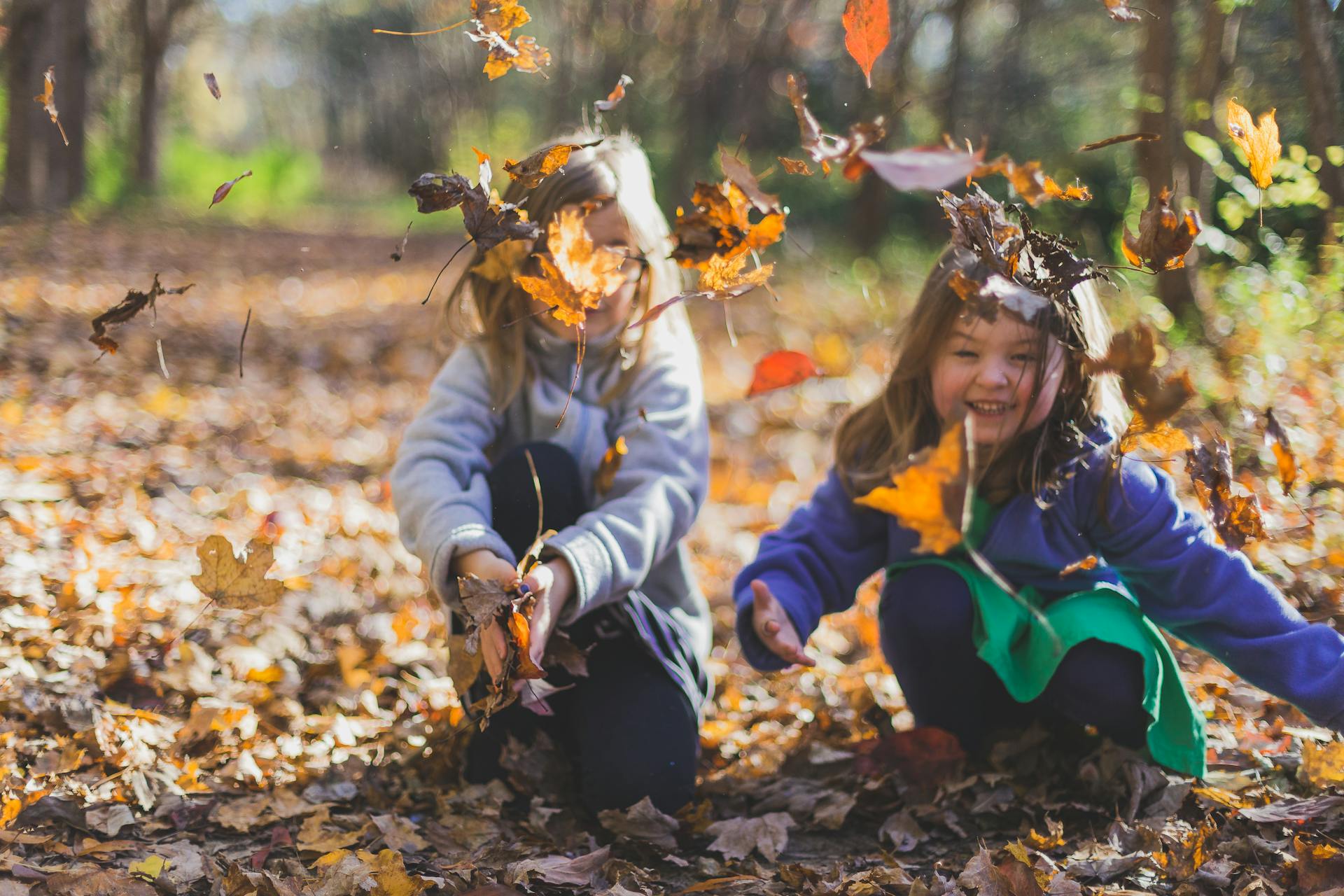 Actividades Con Ninos Para Descubrir El Otono