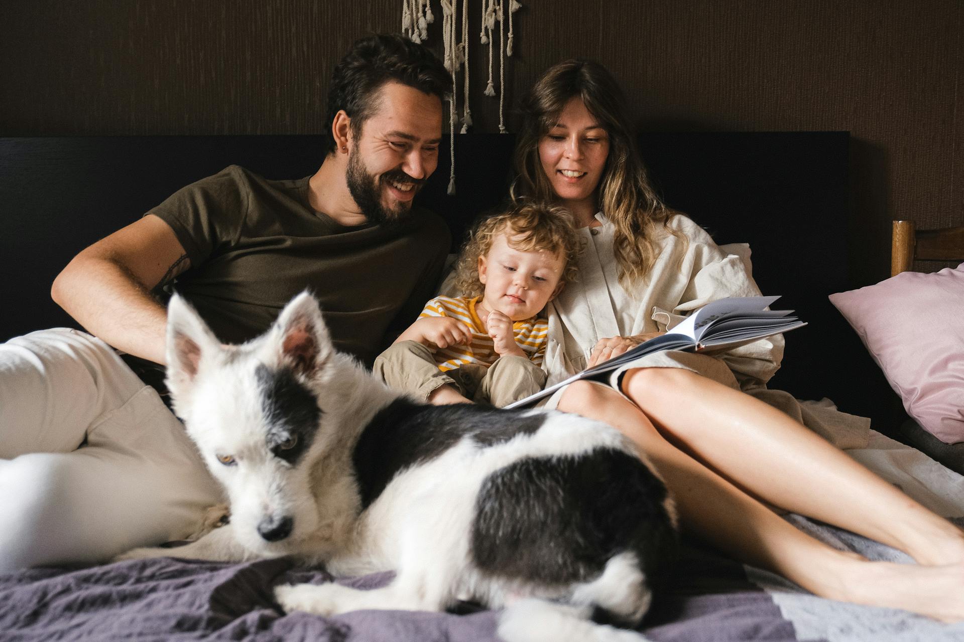 Como Redescubrir Los Cuentos Y Libros De Tu Infancia Que Ahora Lees A Tu Hijo