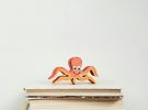 Leer libros por placer: clave para fomentar el hábito lector