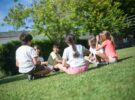 Colegio: 6 valores para fomentar la convivencia en el recreo