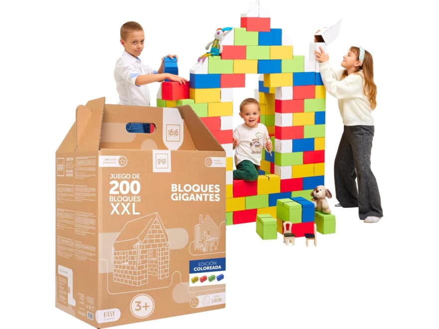 Juego Piezas Encajables