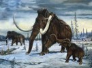 La extinción de los mamuts
