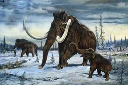 La extinción de los mamuts