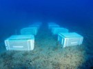 Oceana inicia un proyecto para ‘reforestar’ las aguas almerienses