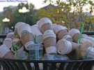 Starbucks malgasta 24 millones de litros de agua al día