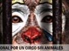 Por un circo sin animales