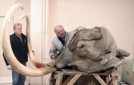 Mamut