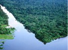 La relación entre la Selva Amazónica y el Desierto del Sahara