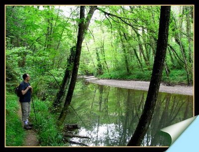 Restauración ecológica  del río Barbadún