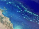 Gran Barrera de Coral: registra el menor crecimiento en cuatro siglos