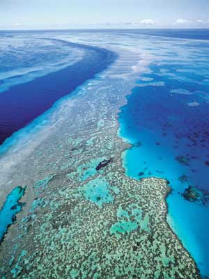 Australia protege la Gran Barrera de Coral