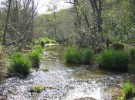 El Programa ‘Andarríos’ para la conservación de ecosistemas fluviales andaluces