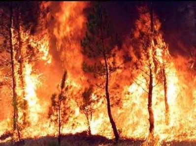 200 muertos en los incendios de Australia