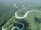 Científicos españoles comprarán 100.000 hectáreas de Amazonas