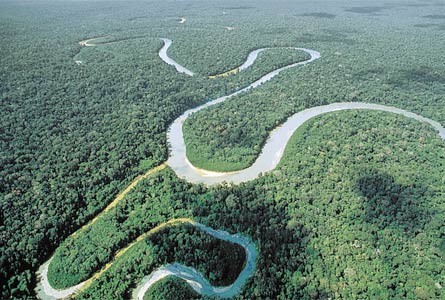 amazonas