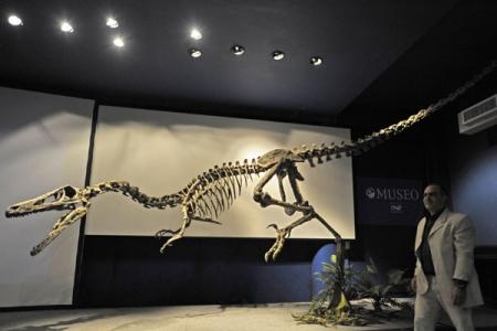 <em>Austroraptor cabazai</em>, el raptor gigante de la Patagonia