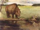 Extinción de los grandes mamíferos americanos