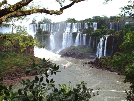 Peligran los peces que habitan en la zona de las Cataratas del Iguazú