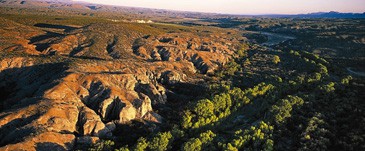 Salvar el Río San Pedro