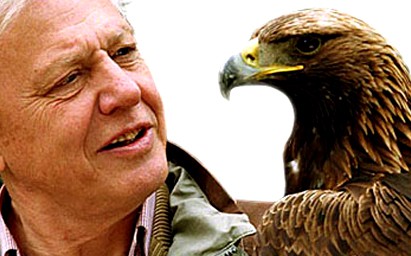 Sir David Attenborough obtuvo el premio Príncipe de Asturias de Ciencias Sociales 2009