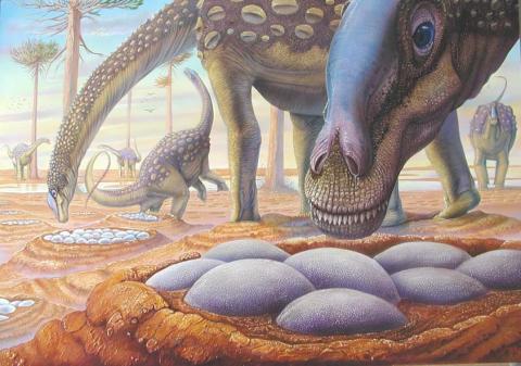 Más sobre los dinosaurios, esta vez el <em>Saltasaurus</em>