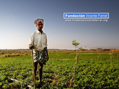 La Fundación Vicente Ferrer por la ecología en India