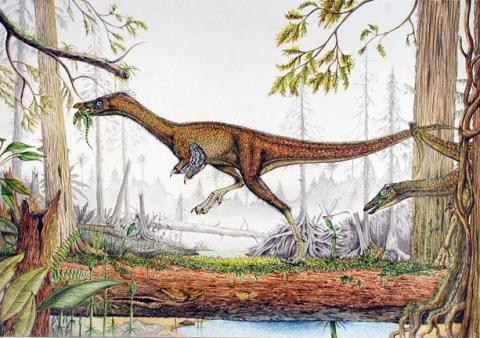 <em>Alvarezsaurus</em>