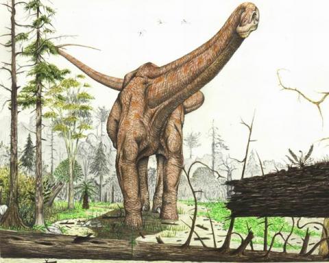 <em>Antarctosaurus</em>