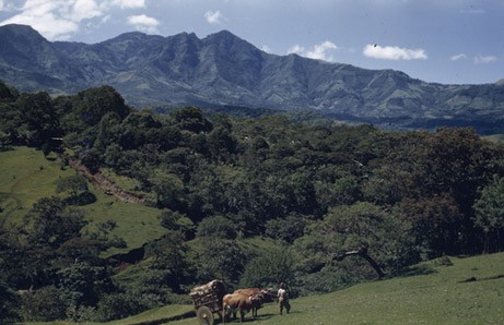 Costa Rica, el primer país en producción neutro de CO2