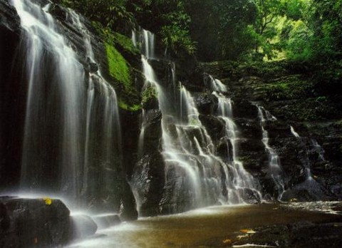 Preocupación por dos paraisos naturales en peligro