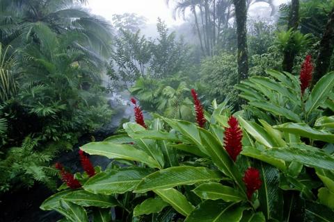 Costa Rica, el paraíso terrenal