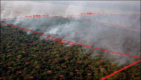 El Amazonas es incendiado intencionalmente por científicos