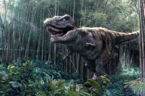 Tiranosaurio rex: ¿feroz depredador o carroñero?