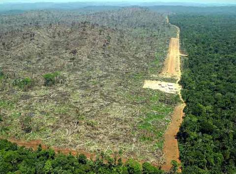 Sacrificando la Amazonia