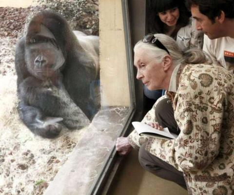 Jane Goodall al rescate de los animales en Bolivia